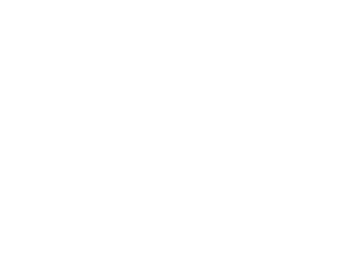 Accel Electric Logo